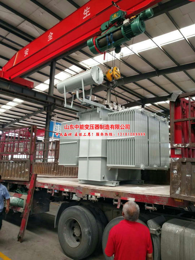 芦淞100KVA油浸式变压器