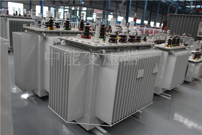 芦淞2500KVA/10KV油浸式变压器